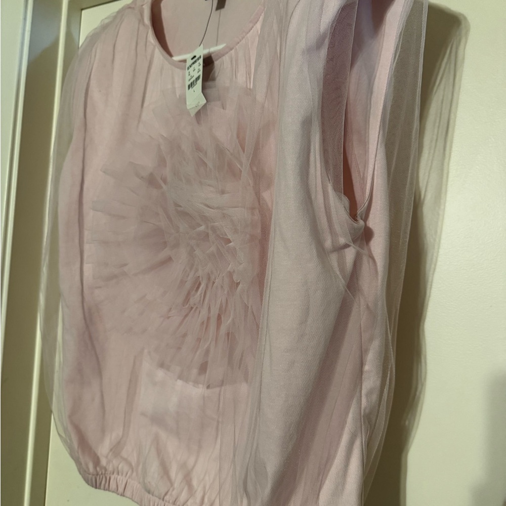 Express Pink Ruffled Relaxed Blouse